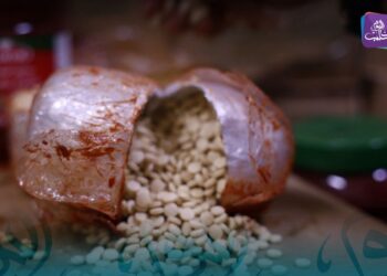 وزارة الداخلية: ضبط شحنات مخدرات وتفكيك شبكات تهريب في درعا وحلب