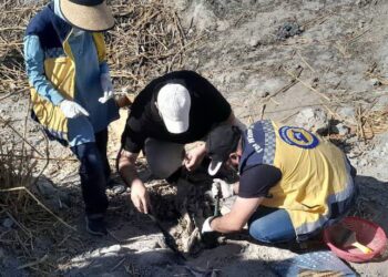 11 عامًا على مجزرة العتيبة… الهيئة الوطنية للمفقودين تنتشل رفات 170 ضحية بريف دمشق