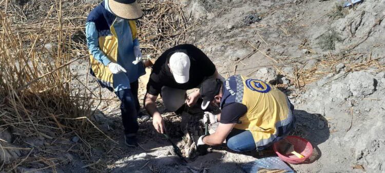 11 عامًا على مجزرة العتيبة… الهيئة الوطنية للمفقودين تنتشل رفات 170 ضحية بريف دمشق