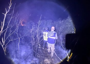 نظام إنذار جديد لمواجهة حرائق الغابات في الساحل السوري