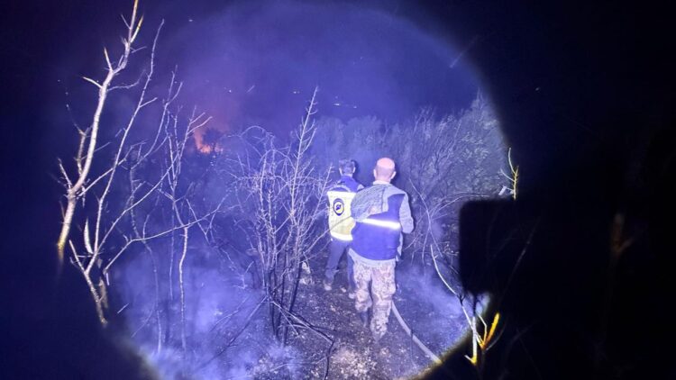 نظام إنذار جديد لمواجهة حرائق الغابات في الساحل السوري