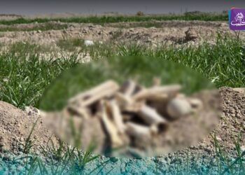 دفنتهم عراة.. اكتشاف ضحايا جدد في مقبرة جماعية من مخلفات قوات الأسد