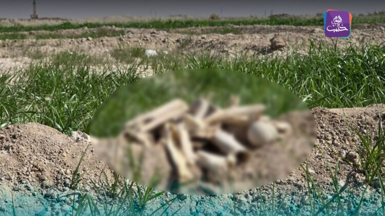 دفنتهم عراة.. اكتشاف ضحايا جدد في مقبرة جماعية من مخلفات قوات الأسد