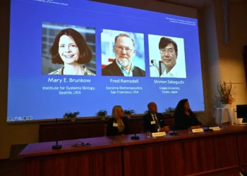 اكتشافاتهم تسهم في علاج السرطان وأمراض المناعة.. ثلاثة علماء يحصلون على جائزة نوبل للطب