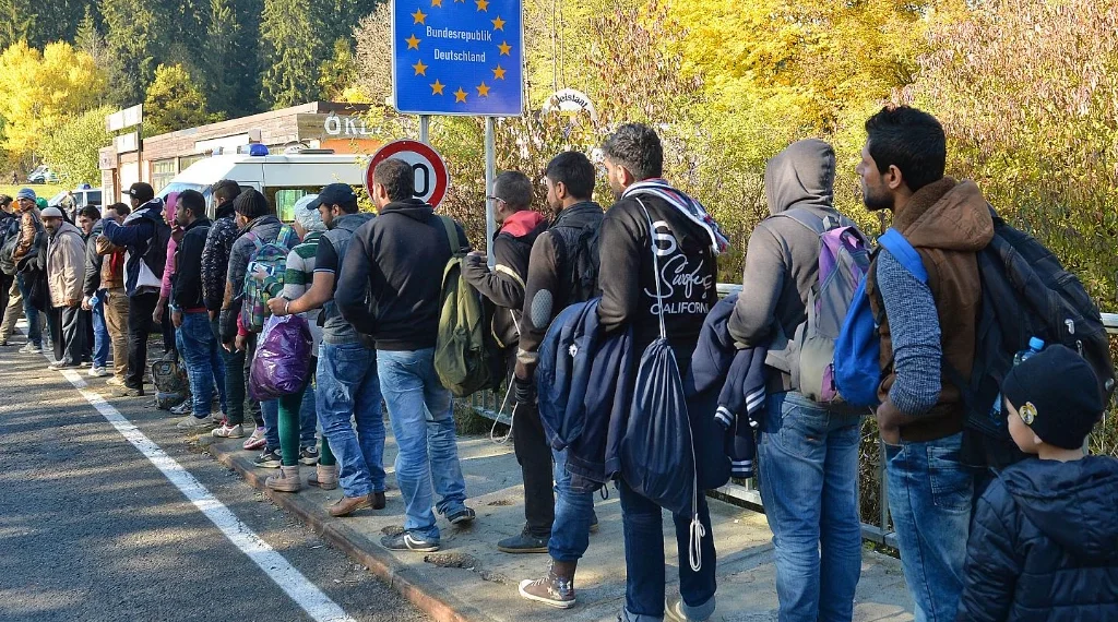 حملة تشجير في إدلب.. هل تكفي لمواجهة إرث التدمير والجفاف؟