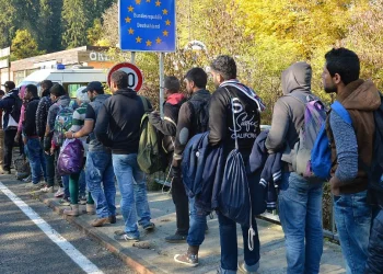 حملة تشجير في إدلب.. هل تكفي لمواجهة إرث التدمير والجفاف؟