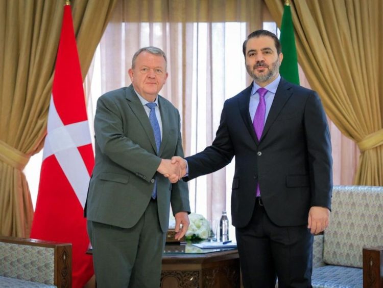 بعد تشكيلها لجنة خاصة.. الدنمارك تتجه إلى دمشق لحل قضية اللاجئين