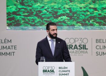 الرئيس الشرع في قمة المناخ: سوريا ماضية في خطة التعافي المستدام.. وندعو للاستثمار في الطاقة الخضراء