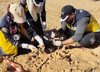 مسودة تلقائية