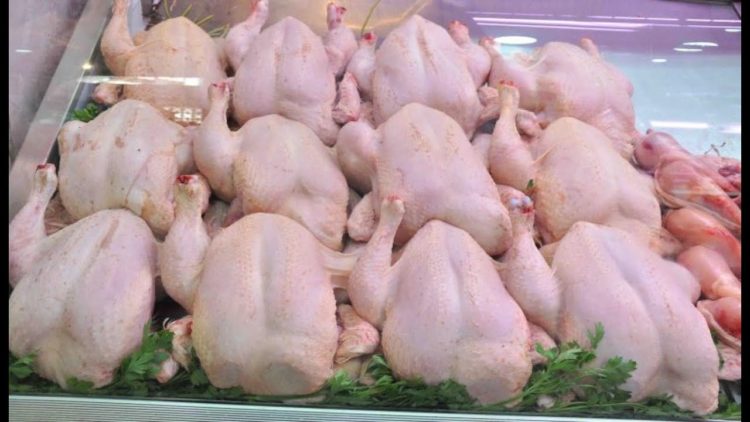 وزارة الطوارئ تلغي تحذيرًا بشأن مرض “طاعون الدجاج”