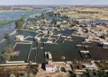 وزارة الزراعة تعوض مزارعين خسروا محاصيلهم جراء القيضانات