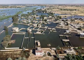 وزارة الزراعة تعوض مزارعين خسروا محاصيلهم جراء القيضانات