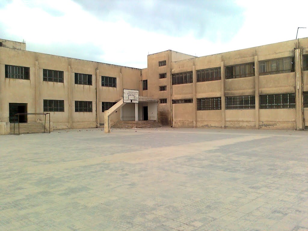 صورة الخبر